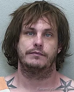 Mugshot of DAVID ANTHONY HAMRICK