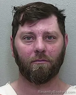 Mugshot of JEREMY CHRISTOPHER WEBB