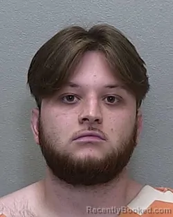 Mugshot of JONATHON CAMERON DIBBLE