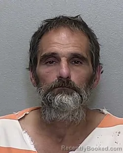 Mugshot of ROBERT JAMES LEE