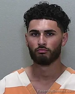 Mugshot of DAVID MIGUEL BISBAL ALEQUIN