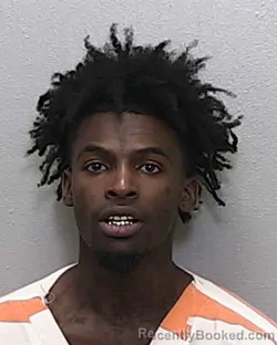 Mugshot of JOELLE DEVON HANKS