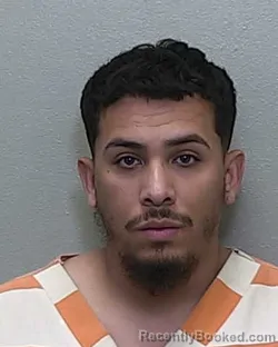 Mugshot of MICHAEL NAVEIRA DE LEON