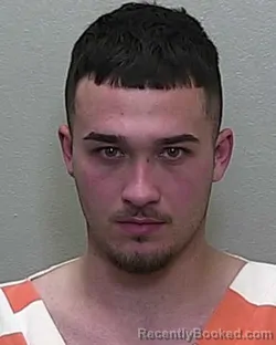 Mugshot of ANTHONY GRAU JR