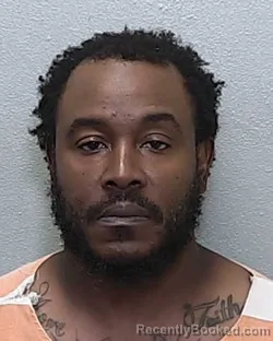 Mugshot of CHIOTA RASHAD ROBERTS