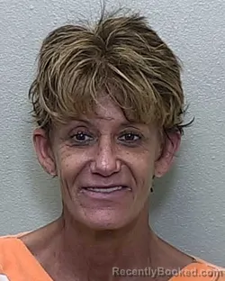 Mugshot of TINA MARIE JOHNSON