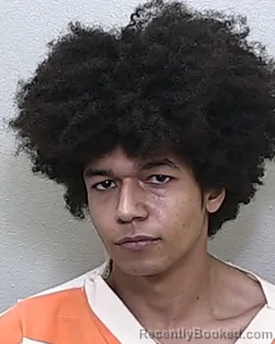 Mugshot of DONAVAN DASHA SAMPSON