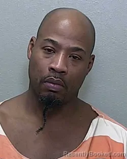Mugshot of MICHAEL T ROBINSON