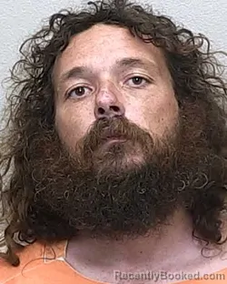 Mugshot of JOSHUA ALEXANDER WELLS