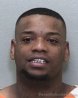 Mugshot of OLIN DAVID WELLS III