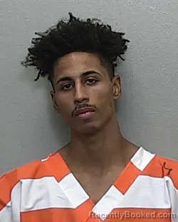 Mugshot of LEBRAN MILLION DOBSON