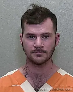 Mugshot of SETH M OTTER