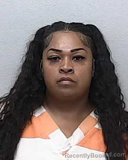 Mugshot of MEGAN CLINTON