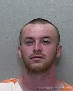Mugshot of MATTHEW LEE CLEMONS