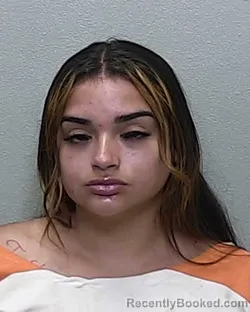 Mugshot of ANDREA NICOLE ALVARADO booked in Marion County, Florida on April 4, 2026