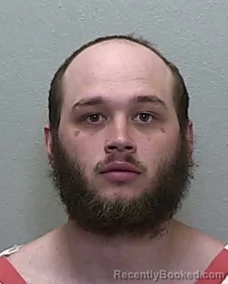 Mugshot of TYLER MICHAEL FALLER booked in Marion County, Florida on April 4, 2026