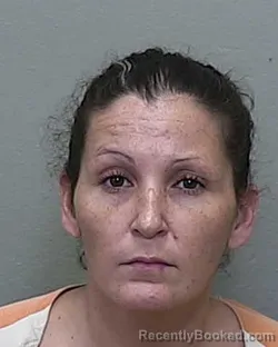 Mugshot of KRISTINA MARIE DAVIS booked in Marion County, Florida on April 4, 2026