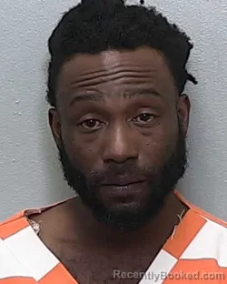 Mugshot of WILLIE LEE BROWN JR booked in Marion County, Florida on April 4, 2026