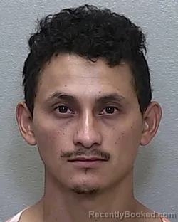 Mugshot of GERZON FRANCISCO GARCIA CASTILLO booked in Marion County, Florida on April 4, 2026