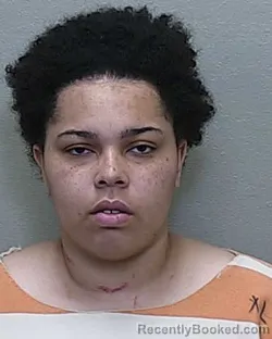 Mugshot of DREEMA JENASON SANDERS booked in Marion County, Florida on April 4, 2026