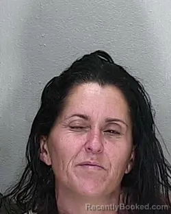 Mugshot of YVONNE MARLENE WEBB booked in Marion County, Florida on April 15, 2026