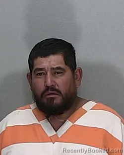 Mugshot of JUAN CAMARILLO-DOMINGUEZ booked in Marion County, Florida on April 16, 2026