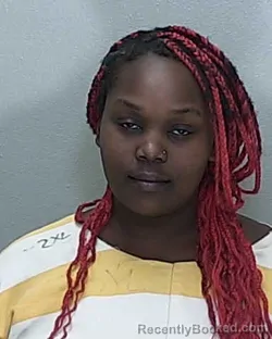 Mugshot of JE'ANNA NYQUITA DUCEZIL booked in Marion County, Florida on April 16, 2026