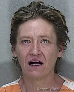 Mugshot of MICHELLE CARVER BAKER booked in Marion County, Florida on April 17, 2026