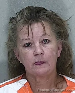 Mugshot of KIMBERLY ANN WEBSTER booked in Marion County, Florida on April 17, 2026