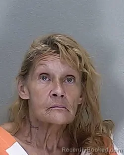 Mugshot of ABBY LEA JOHNS booked in Marion County, Florida on April 17, 2026