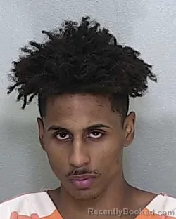 Mugshot of LEBRAN MILLION DOBSON booked in Marion County, Florida on April 18, 2026