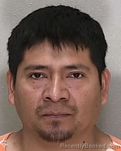 Mugshot of FELICIANO RAMOS BAUTISTA booked in Marion County, Florida on April 18, 2026