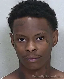 Mugshot of AIYAN MCGRIT FIELDS booked in Marion County, Florida on April 18, 2026