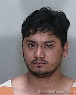 Mugshot of JORGE SALAZAR booked in Marion County, Florida on April 19, 2026