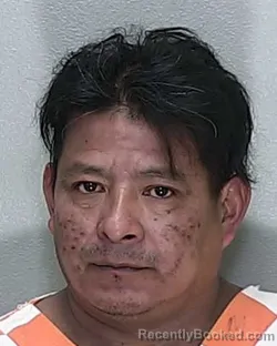 Mugshot of JOSE JORGE MARTINEZ CALIX booked in Marion County, Florida on April 19, 2026