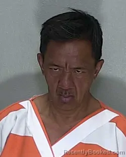 Mugshot of HIEU MINH HO booked in Marion County, Florida on April 20, 2026