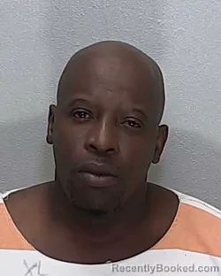 Mugshot of JUSTIN ALFRED HAYNES booked in Marion County, Florida on April 23, 2026