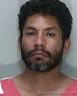 Mugshot of JOSE ANGEL ANDRADE booked in Marion County, Florida on April 24, 2026