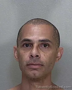 Mugshot of EVERETTE MICHAEL ADAMS booked in Marion County, Florida on April 27, 2026