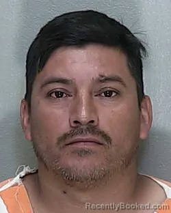 Mugshot of LEONEL ADELMI CANO MERIDA booked in Marion County, Florida on April 28, 2026