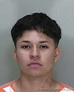 Mugshot of CARLOS GUSTAVO RAMIREZ DELGADO booked in Marion County, Florida on April 28, 2026