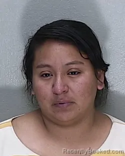 Mugshot of DEILY NAHABI RIVAS MARTINEZ DE TOMAS booked in Marion County, Florida on April 29, 2026