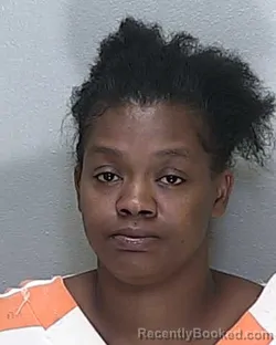 Mugshot of SUELYN C CHAMBERS booked in Marion County, Florida on April 30, 2026