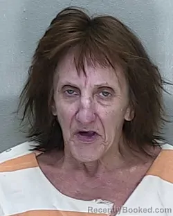 Mugshot of BETH GALLENTINE TEDDER booked in Marion County, Florida on May 4, 2026
