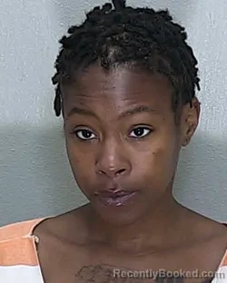 Mugshot of ILLA JENEQUE BENTON booked in Marion County, Florida on May 4, 2026