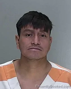 Mugshot of GILDER FUENTEZ AGUILAR booked in Marion County, Florida on May 5, 2026