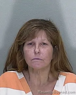 Mugshot of BRANDY C GILBROOK booked in Marion County, Florida on May 7, 2026