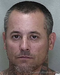 Mugshot of ADAM LEE KNISLEY booked in Marion County, Florida on May 7, 2026