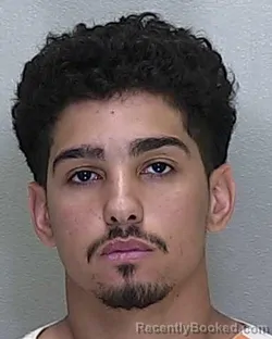 Mugshot of GABRIEL RAILIE GOMEZ booked in Marion County, Florida on May 7, 2026