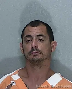 Mugshot of SEAN MICHAEL WHITNEY booked in Marion County, Florida on May 11, 2026